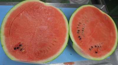 6.12すいか④